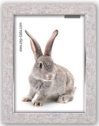 Ramka na zdjęcie struktura płótna beżowa 20x30