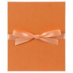 Album Goldbuch Leporello Eco Orange 10 stron