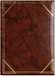 Album na zdjęcia wsuwane brązowy 300 10x15