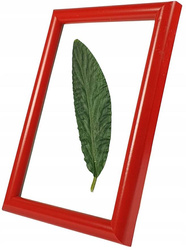 Ramka na zdjęcie 15x23 czerwona wąska