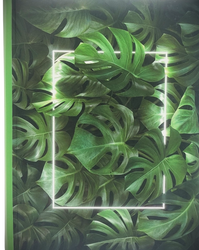 Album kieszeniowy na 300 zdjęć 10x15 Monstera