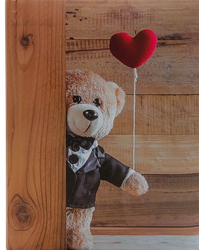 Album kieszeniowy na 300 zdjęć 10x15 dziecięcy Pluszowy Miś