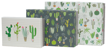 Zestaw 3 pudełek Goldbuch Cactus Box na prezent