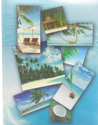 Album kieszeniowy na 300 zdjęć 10x15 Wakacyjne Palmy