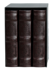 Album kieszeniowy zestaw 3x200 BOX Journal c.brąz